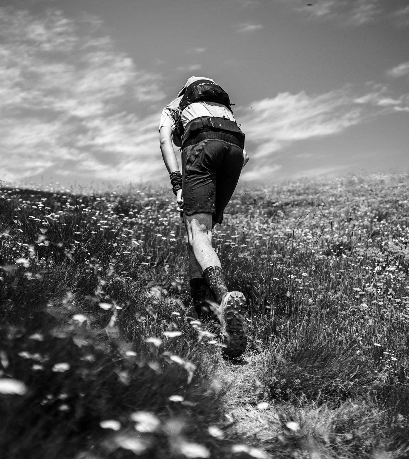 sergi garcia terrones image 5