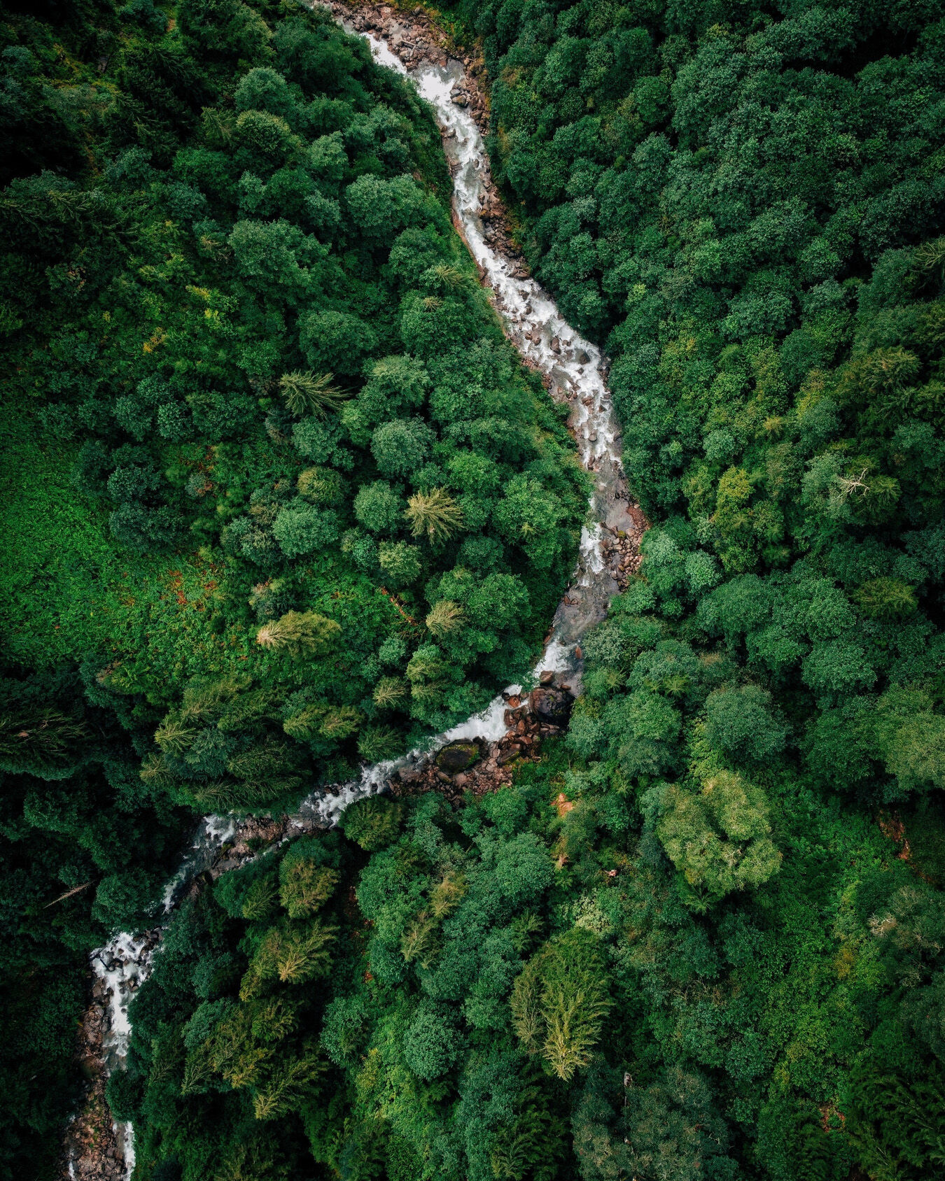 discover more on six pillars of sustainability