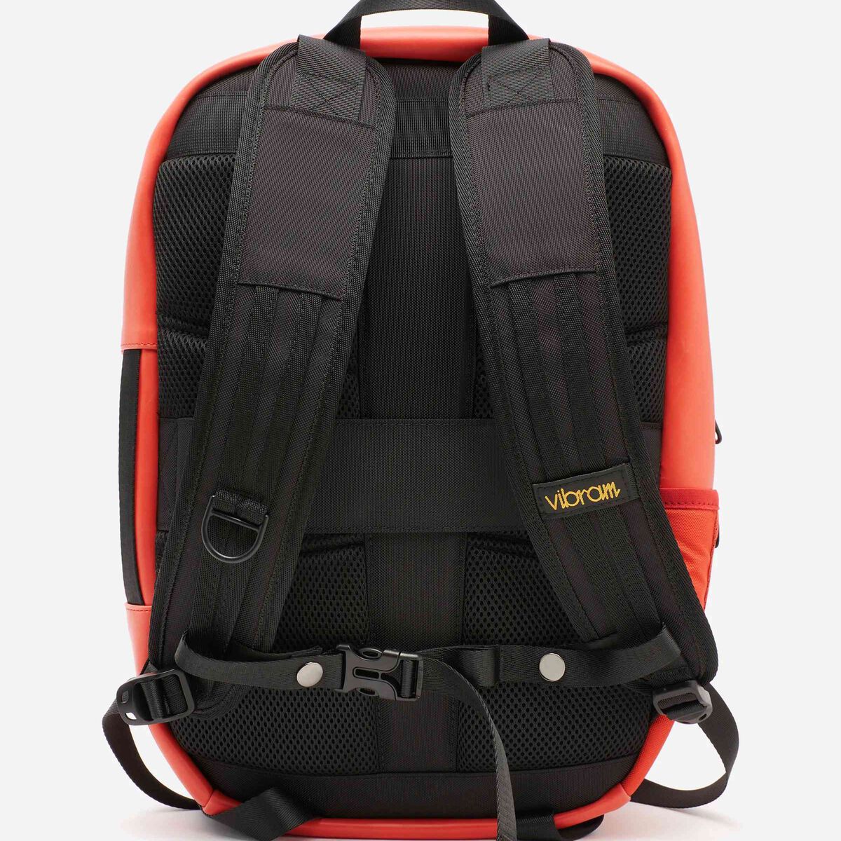 Backpack photo from behind