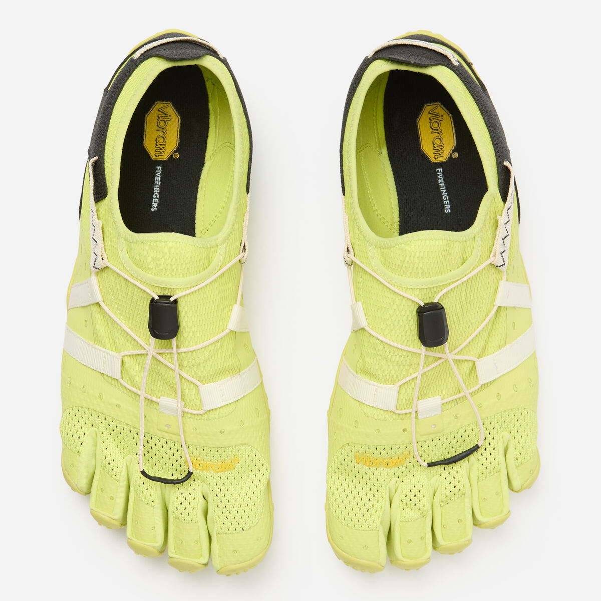 Spidrwalk foto dallalto