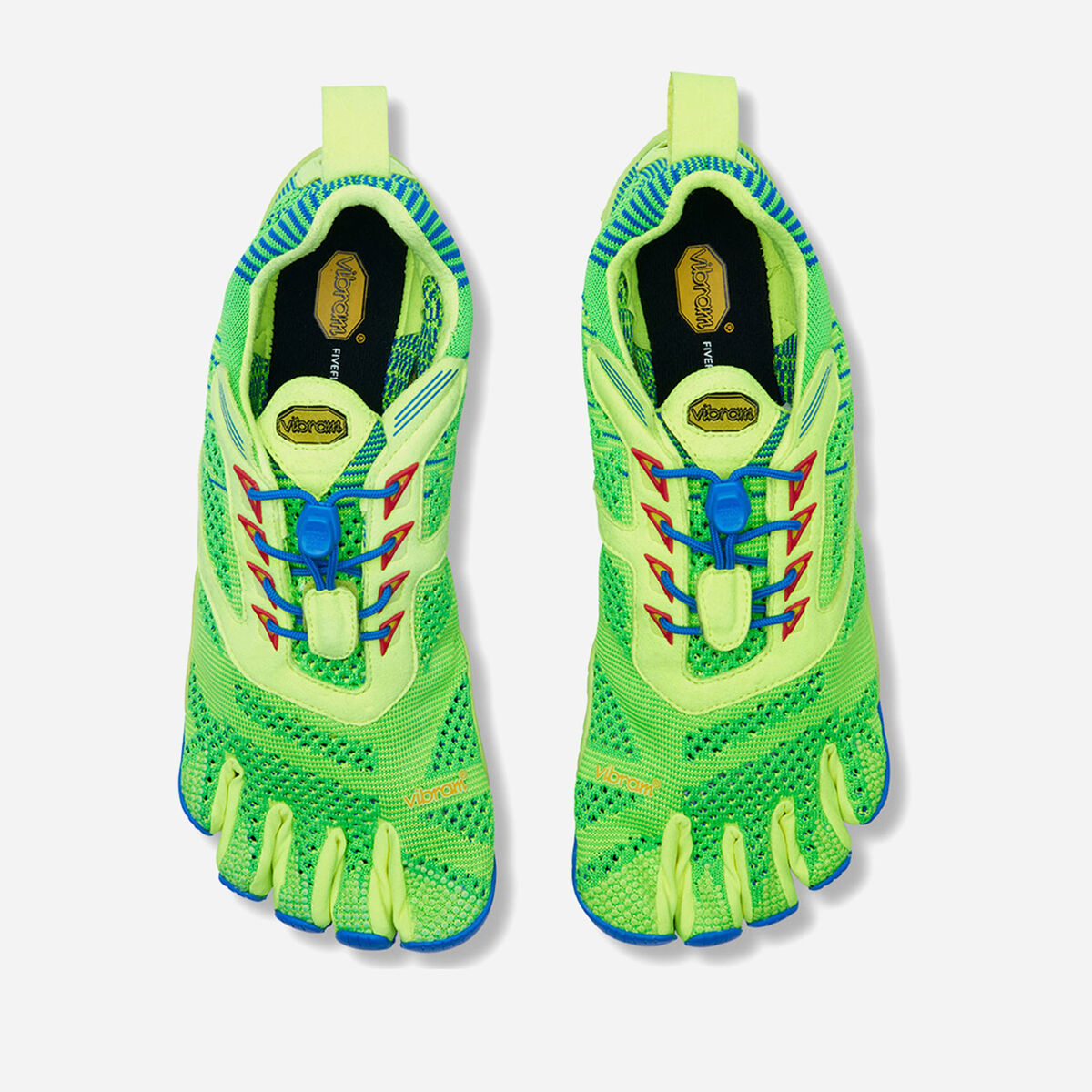 KMD EVO Men's 上からの写真