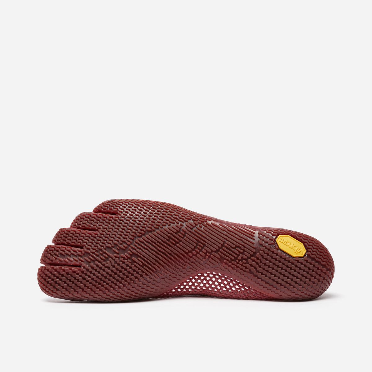 Vi-B 下からの写真