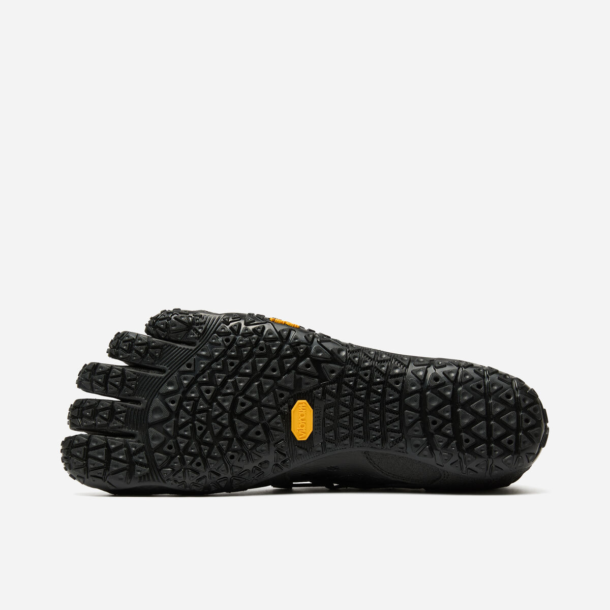 Spidrwalk foto dal basso