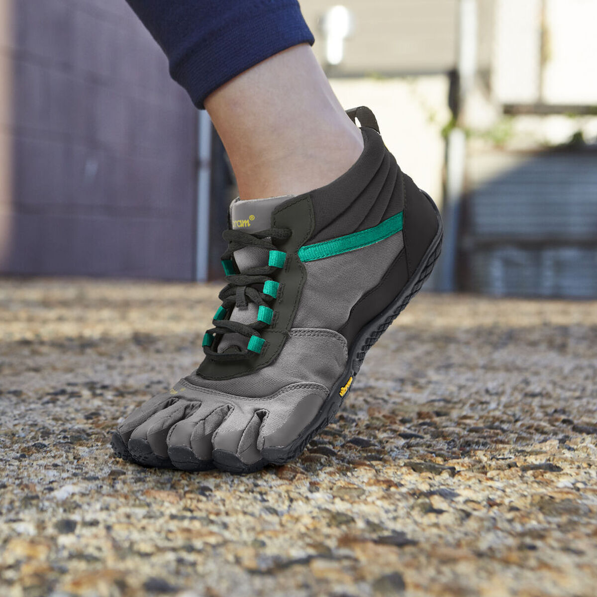 V-Trek インシュレーテッド ウィメンズ 上からの写真
