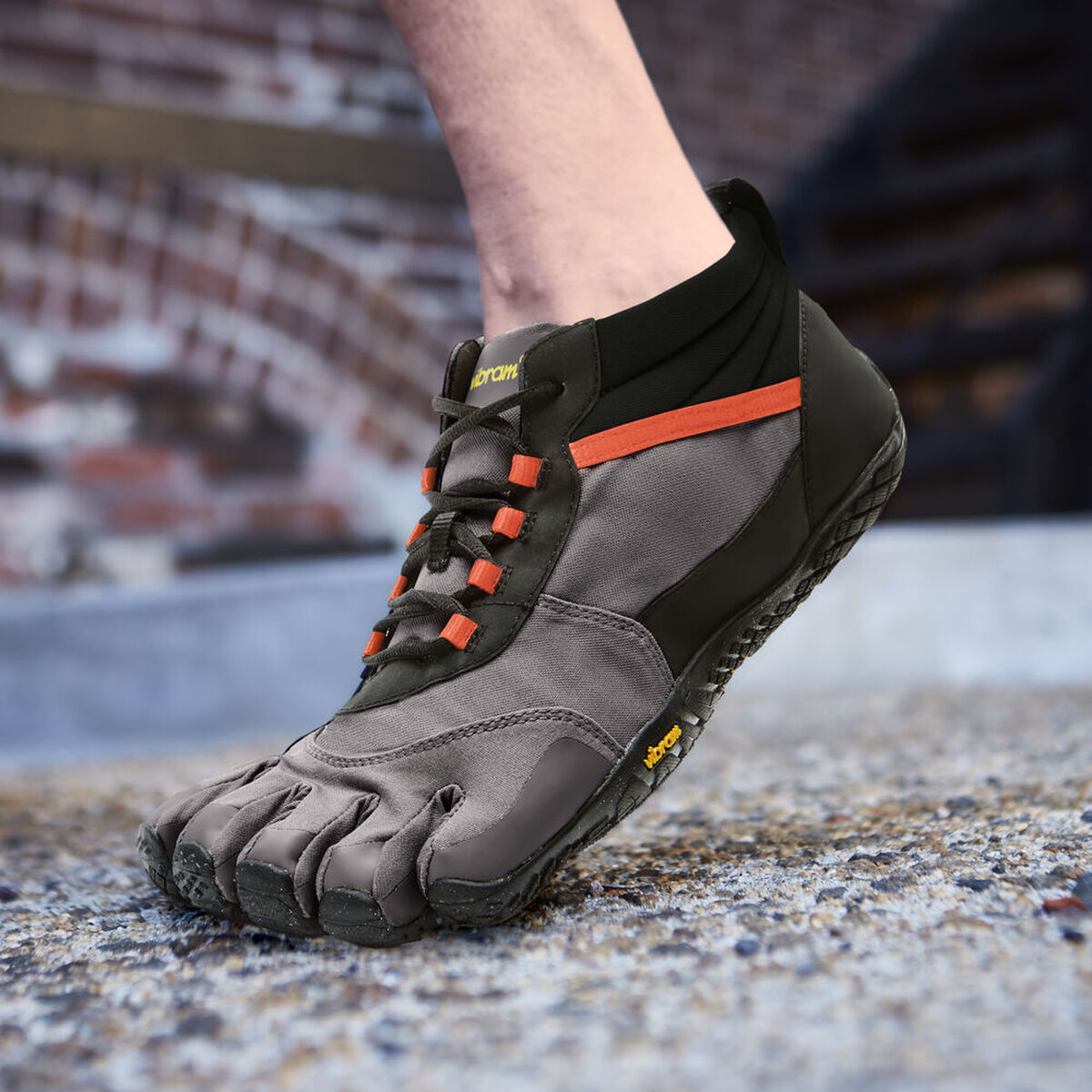 V-Trek インシュレーテッド メンズ 上からの写真