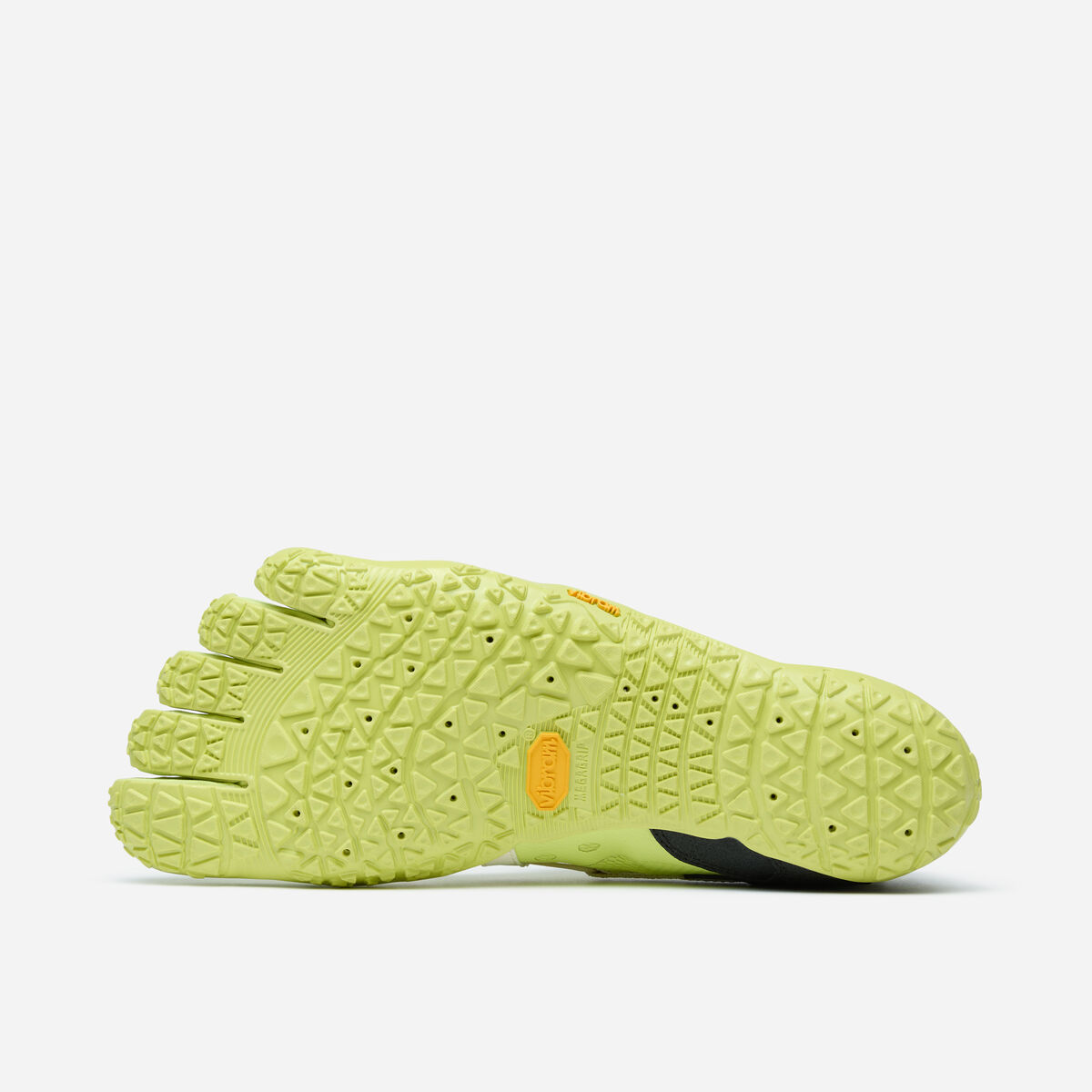 Spidrwalk foto dal basso