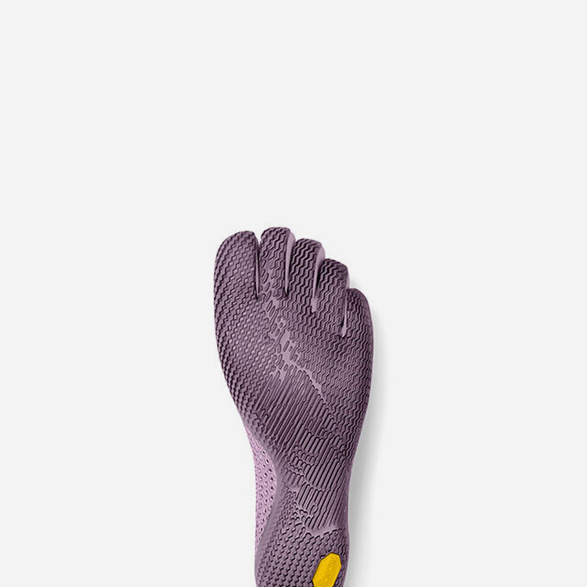 Vi-B 下からの写真