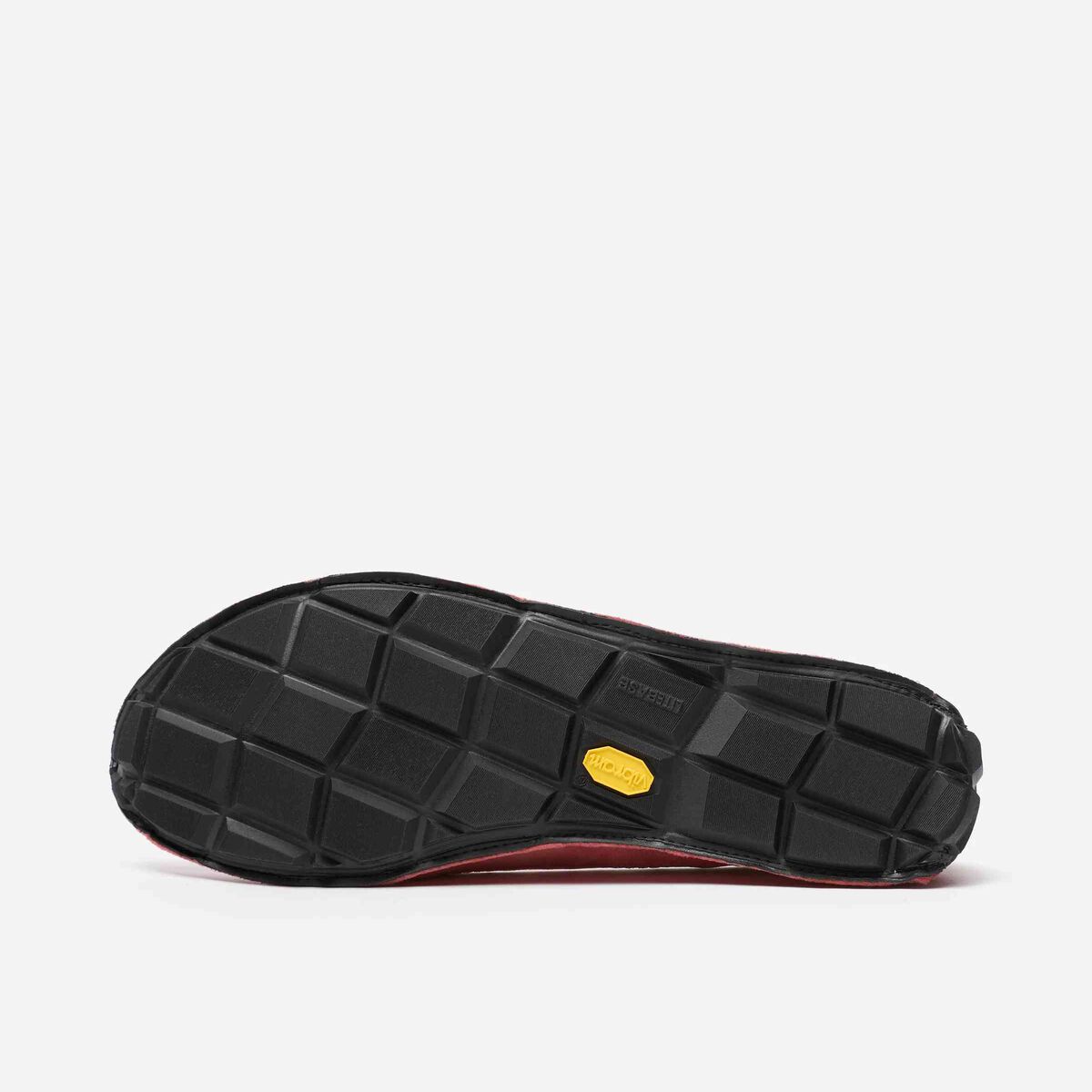 One Quarter Velvet photo from below