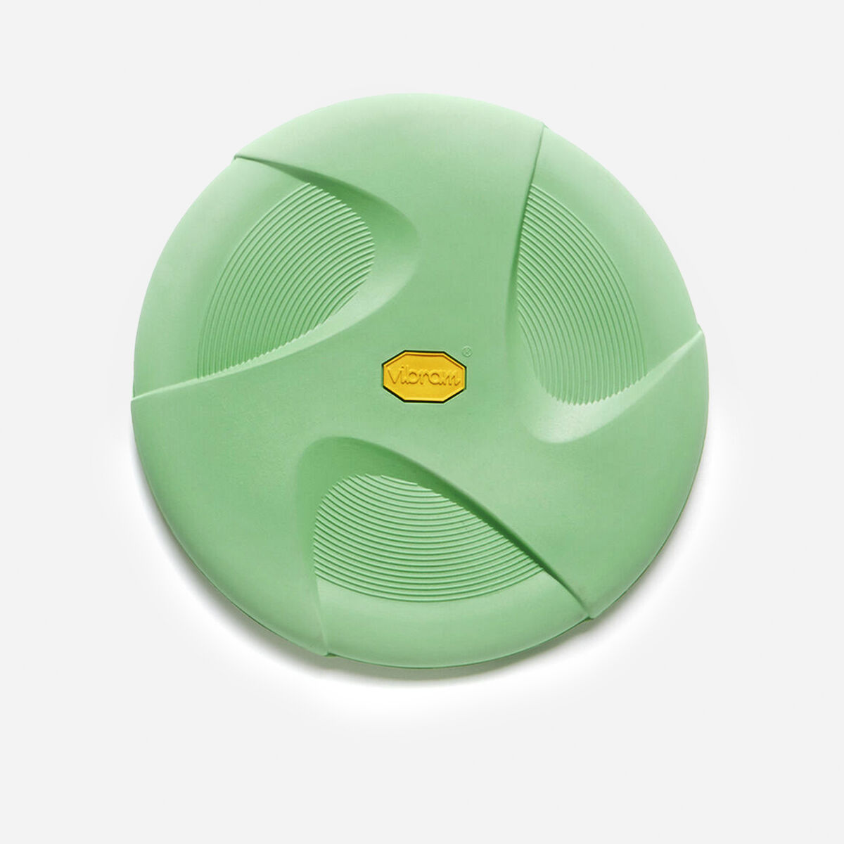 10-disc-pet-toys-mint-vibram