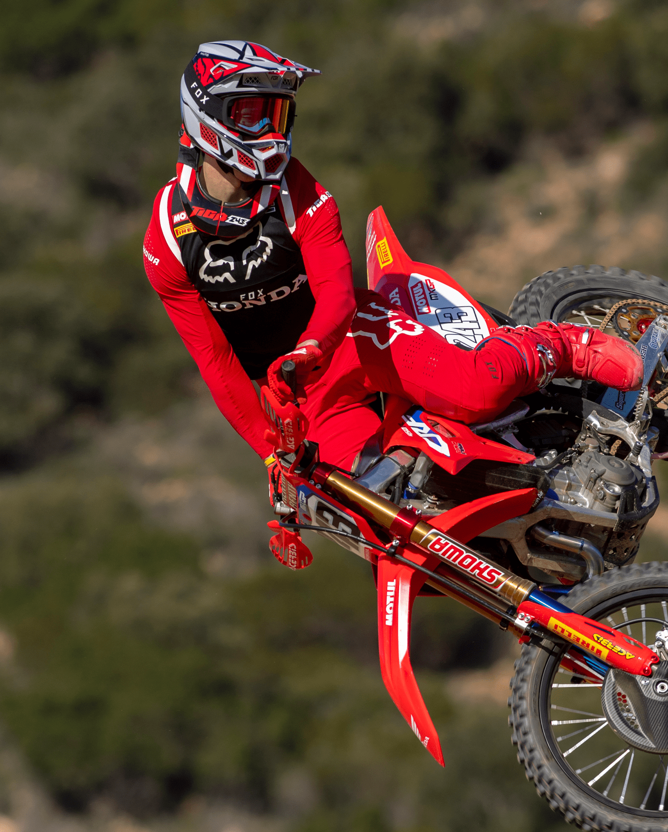 Tim Gajser Motocross Champion